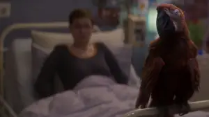 Задник к фильму "" #532804