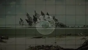 Задник к фильму "Годзилла" #613057