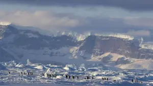 Задник к фильму "" #486265