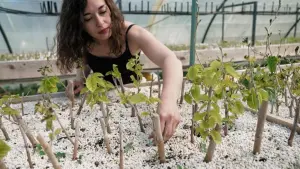 Задник к фильму "" #456441