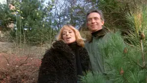 Задник к фильму "Джули, дорогая" #708560