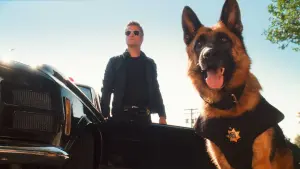 Задник к фильму "Кошки против собак: Месть Китти Галор" #321493