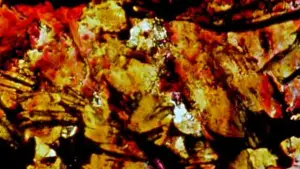 Задник к фильму "" #721064