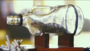 Задник к фильму "Антипорно" #265015