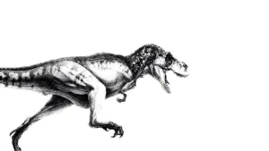 Задник к фильму "Парк Юрского периода" #181496