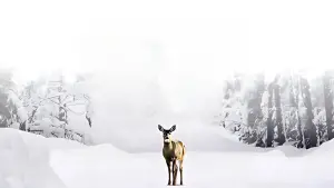 Задник к фильму "" #738852