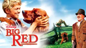 Задник к фильму "" #743544