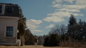 Задник к фильму "Прости, детка" #523511