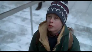 Задник к фильму "Один дома 2: Затерянный в Нью-Йорке" #567409