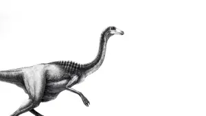 Задник к фильму "Парк Юрского периода" #181497