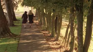 Задник к фильму "Твин Пикс: Сквозь огонь" #643176