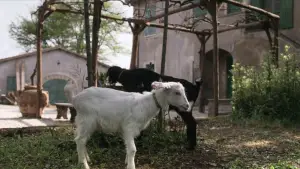 Задник к фильму "" #706322