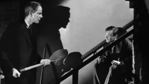 Задник к фильму "Мышьяк и старые кружева" #204114