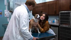 Задник к фильму "Щенячья любовь" #341292