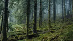 Задник к фильму "Жизненная необходимость" #705211