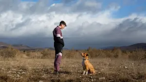 Задник к фильму "" #355132