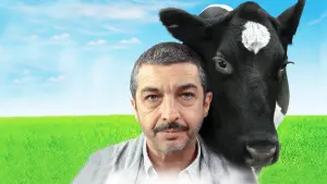 Задник к фильму "Китайская сказка" #231137