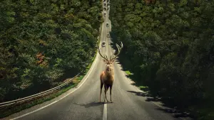 Задник к фильму "Оставить мир позади" #164156