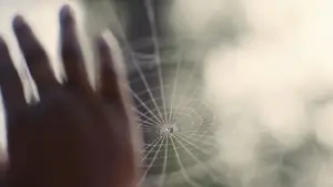 Задник к фильму "Мальчишки из «Никеля»" #598713