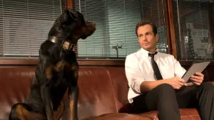 Задник к фильму "Псы под прикрытием" #490425