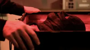 Задник к фильму "Коллекционер 3" #701943