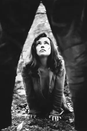 Постер к фильму "" #500277