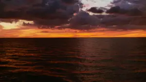 Задник к фильму "Охотник на людей" #720983