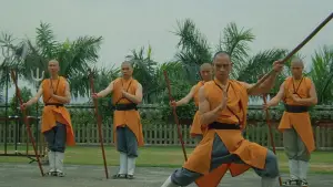 Задник к фильму "Астральное кунг-фу" #725983