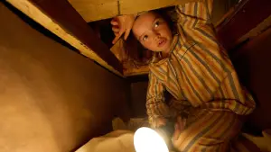 Задник к фильму "Мой любимый двортерьер" #683120