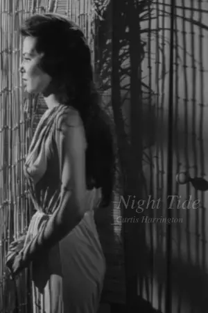 Постер к фильму "Ночной прилив" #741476