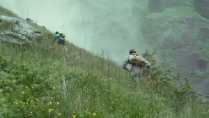 Задник к фильму "Назови меня своим именем" #595876