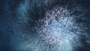 Задник к фильму "Эпик" #722063