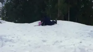 Задник к фильму "Фейерверк" #710947