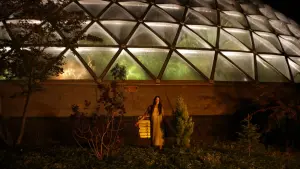 Задник к фильму "По ту сторону черной радуги" #390327