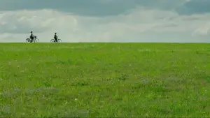 Задник к фильму "Кролик Джоджо" #625522