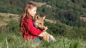 Задник к фильму "Мой волк" #237521