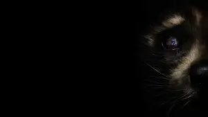 Задник к фильму "Стражи Галактики. Часть 3" #560459