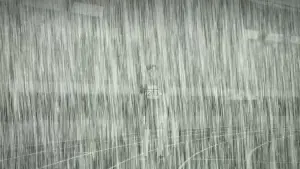 Задник к фильму "Стометровка" #553788