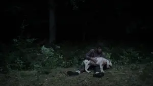 Задник к фильму "Коко-ди Коко-да" #164453