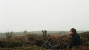 Задник к фильму "Грозовой перевал" #396670