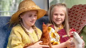 Задник к фильму "Heinähattu, Vilttitossu ja kana" #191895