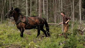 Задник к фильму "" #381645