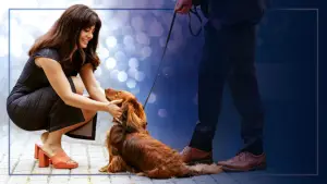 Задник к фильму "Paws in the City" #788918