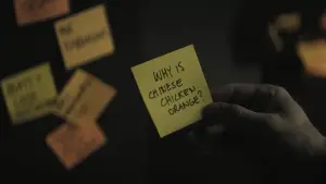 Задник к фильму "Каскадёры" #572281