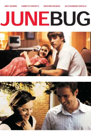 Постер к фильму "Июньский жук" #653043