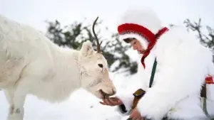 Задник к фильму "" #458238