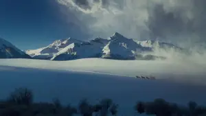 Задник к фильму "Омерзительная восьмёрка" #582699