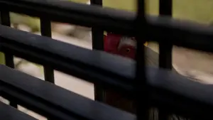 Задник к фильму "" #487760