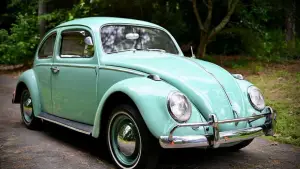 Задник к фильму "Проклятое ожерелье" #682630