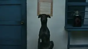 Задник к фильму "" #600720